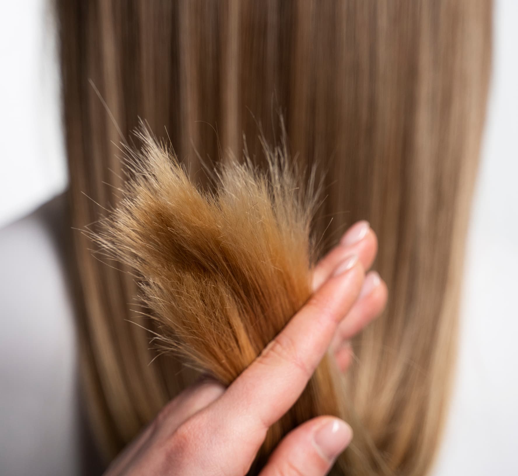 Hair care imagery